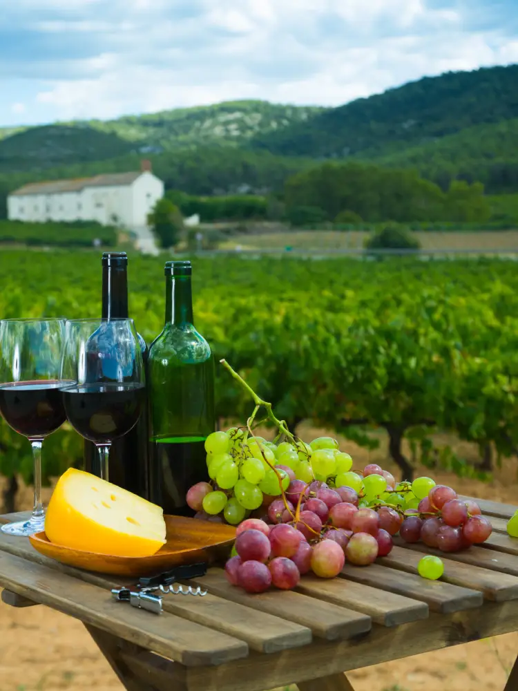 Horseshoe Bend Cellars Vineyard & Winery